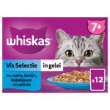 Whiskas MP pouch senior vis in gelei 12 x 85 gr